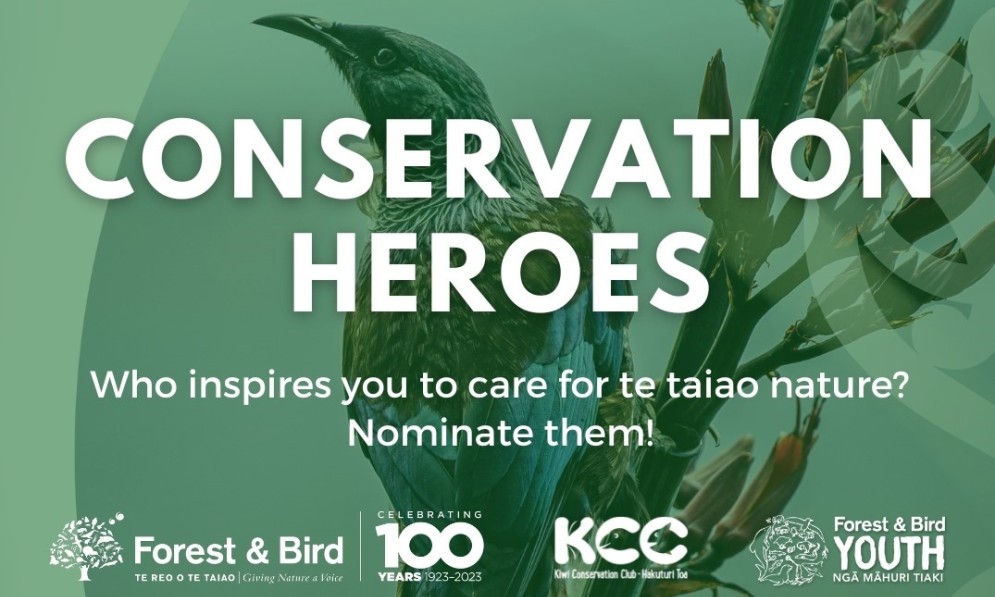 Conservation Heroes | Forest And Bird